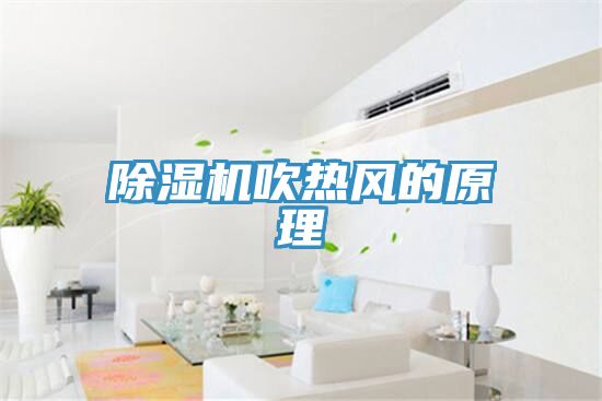 小黄片直播视频吹热风的原理
