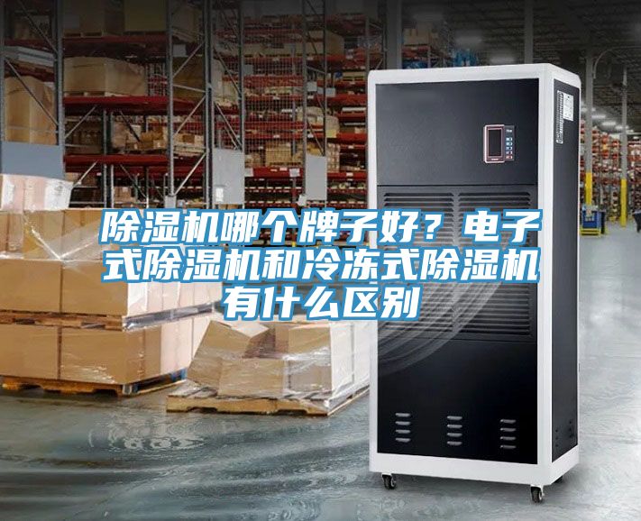 小黄片直播视频哪个牌子好？电子式小黄片直播视频和冷冻式小黄片直播视频有什么区别