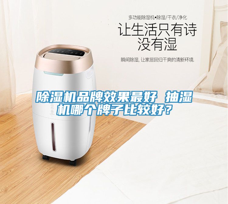 小黄片直播视频品牌效果最好 抽湿机哪个牌子比较好？