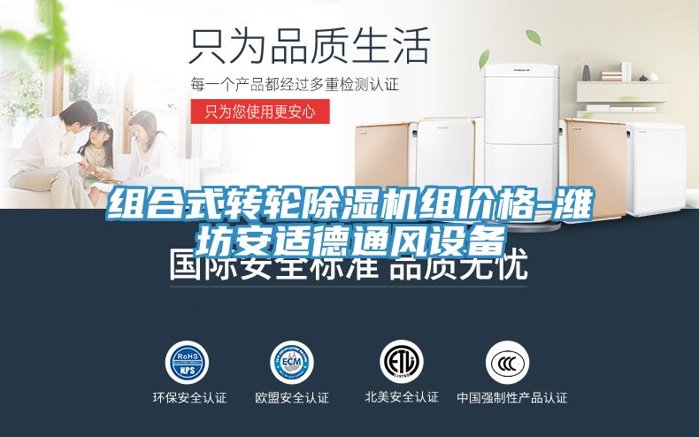 组合式转轮小黄片直播视频组价格-潍坊安适德通风设备