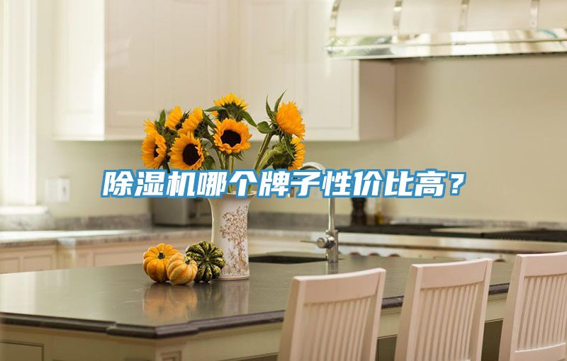 小黄片直播视频哪个牌子性价比高？