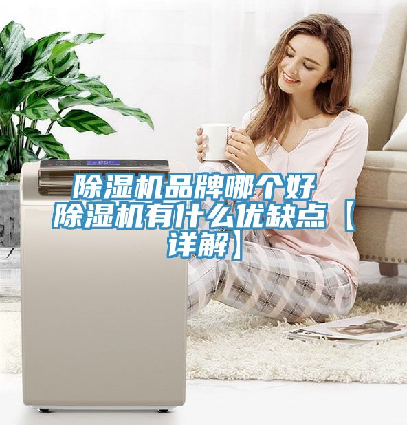 小黄片直播视频品牌哪个好 小黄片直播视频有什么优缺点【详解】