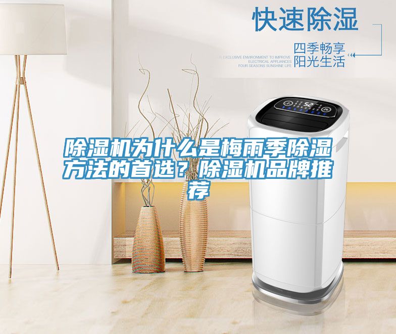 小黄片直播视频为什么是梅雨季除湿方法的首选？小黄片直播视频品牌推荐