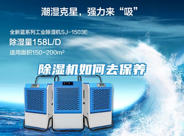 小黄片直播视频如何去保养