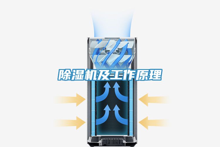 小黄片直播视频及工作原理