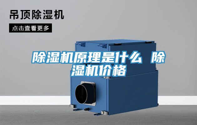 小黄片直播视频原理是什么 小黄片直播视频价格