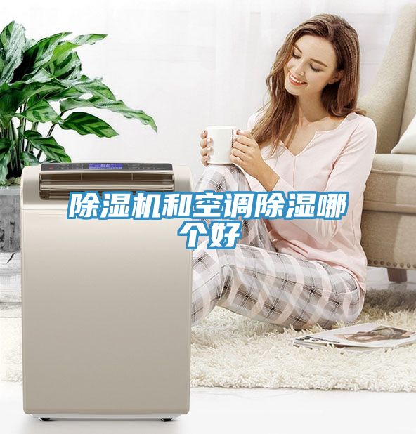小黄片直播视频和空调除湿哪个好