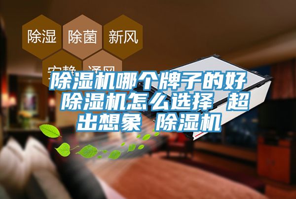小黄片直播视频哪个牌子的好 小黄片直播视频怎么选择 超出想象 小黄片直播视频