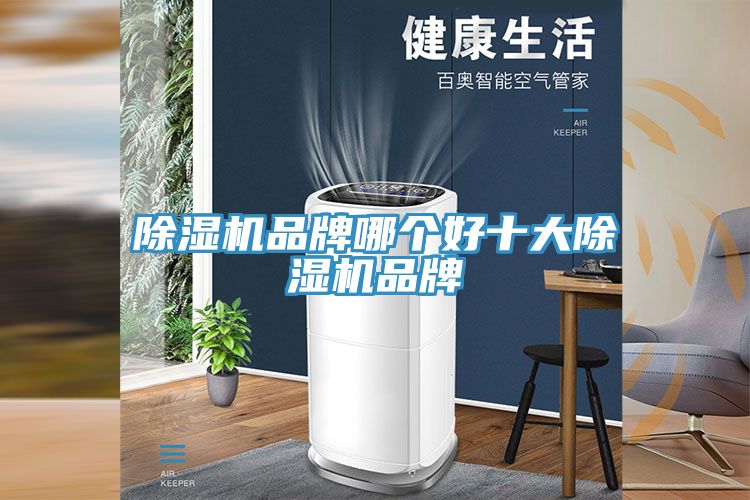 小黄片直播视频品牌哪个好十大小黄片直播视频品牌