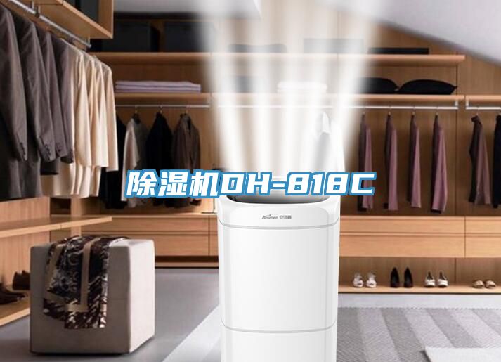 小黄片直播视频DH-818C