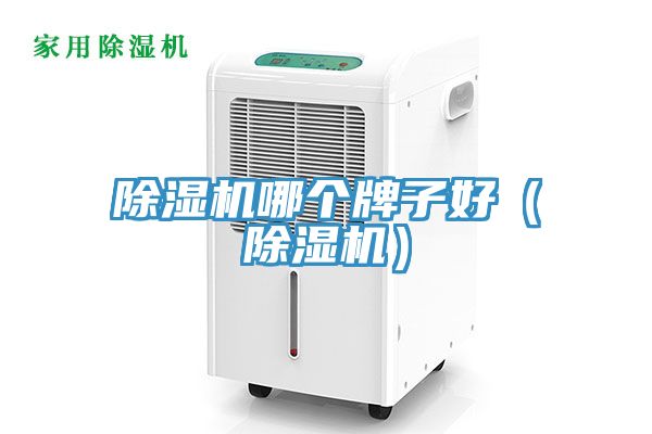 小黄片直播视频哪个牌子好（小黄片直播视频）