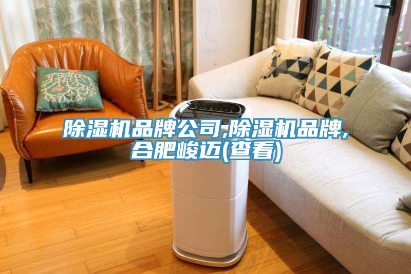 小黄片直播视频品牌公司,小黄片直播视频品牌,合肥峻迈(查看)