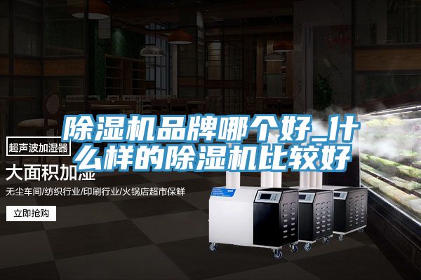 小黄片直播视频品牌哪个好_什么样的小黄片直播视频比较好