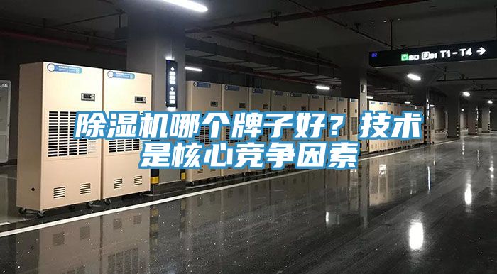 小黄片直播视频哪个牌子好？技术是核心竞争因素