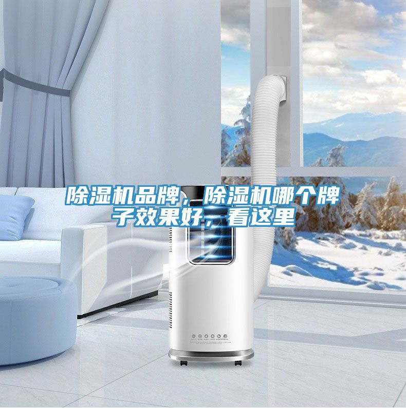 小黄片直播视频品牌，小黄片直播视频哪个牌子效果好，看这里