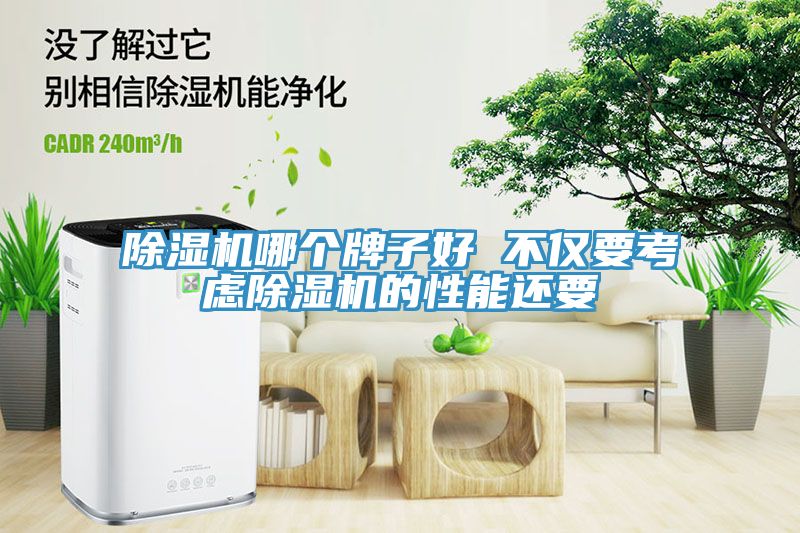 小黄片直播视频哪个牌子好 不仅要考虑小黄片直播视频的性能还要