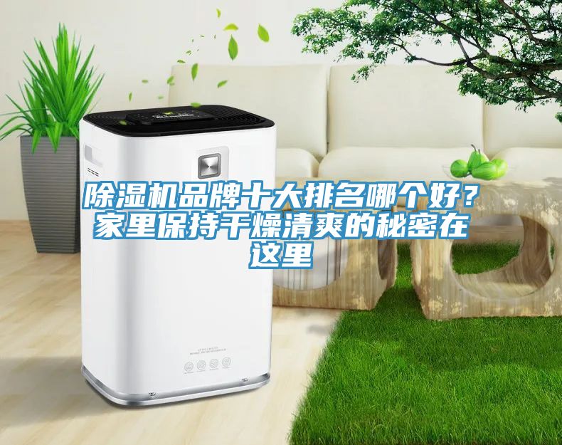 小黄片直播视频品牌十大排名哪个好？家里保持干燥清爽的秘密在这里