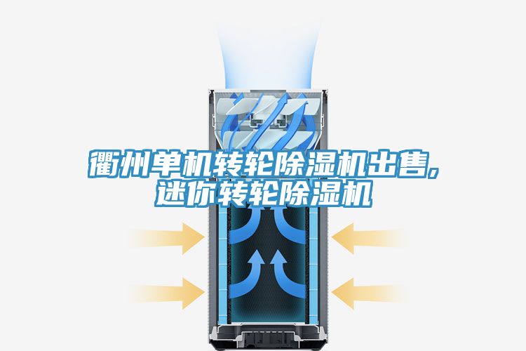 衢州单机转轮小黄片直播视频出售,迷你转轮小黄片直播视频