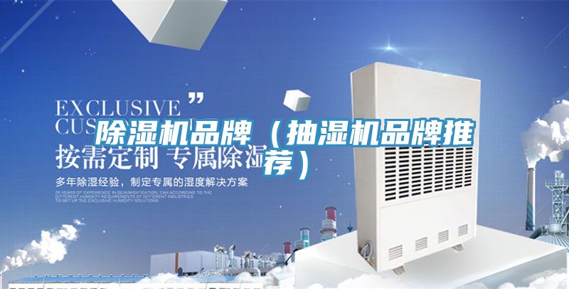 小黄片直播视频品牌（抽湿机品牌推荐）