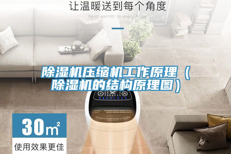 小黄片直播视频压缩机工作原理（小黄片直播视频的结构原理图）