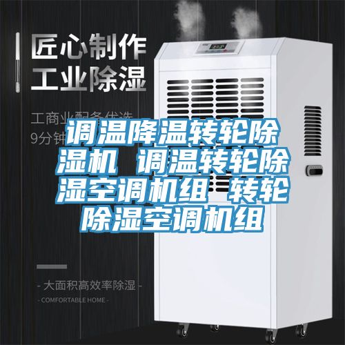 调温降温转轮小黄片直播视频 调温转轮除湿空调机组 转轮除湿空调机组