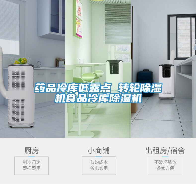 药品冷库低露点 转轮小黄片直播视频食品冷库小黄片直播视频