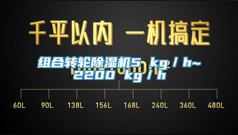 组合转轮小黄片直播视频5 kg／h~2200 kg／h