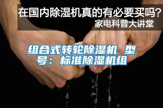 组合式转轮小黄片直播视频 型号：标准小黄片直播视频组