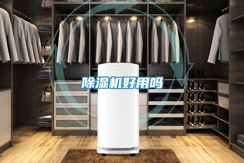 小黄片直播视频好用吗