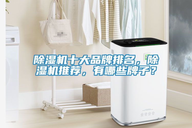 小黄片直播视频十大品牌排名，小黄片直播视频推荐，有哪些牌子？