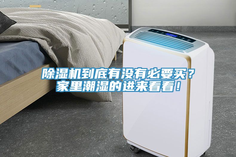 小黄片直播视频到底有没有必要买？家里潮湿的进来看看！