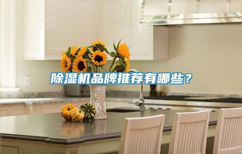 小黄片直播视频品牌推荐有哪些？