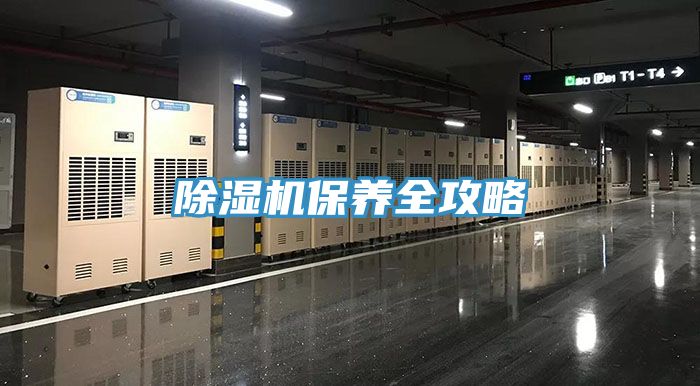 小黄片直播视频保养全攻略