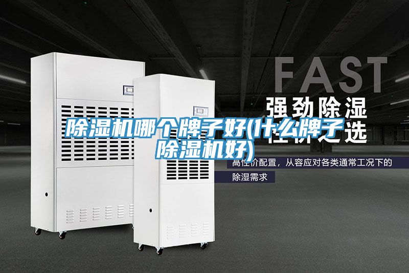小黄片直播视频哪个牌子好(什么牌子小黄片直播视频好)