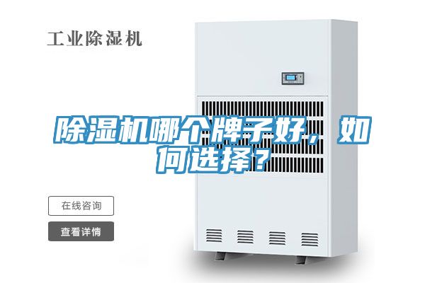 小黄片直播视频哪个牌子好，如何选择？