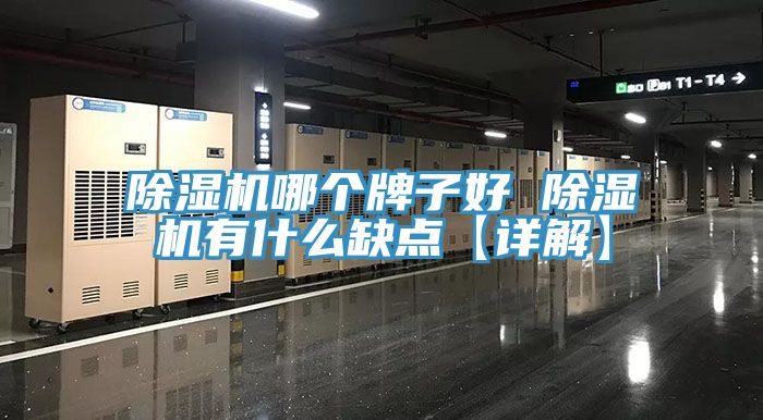 小黄片直播视频哪个牌子好 小黄片直播视频有什么缺点【详解】