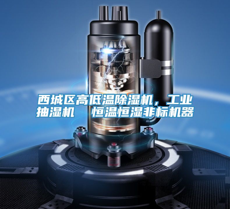 西城区高低温小黄片直播视频，工业抽湿机  恒温恒湿非标机器