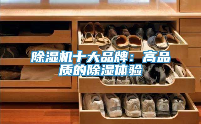 小黄片直播视频十大品牌：高品质的除湿体验