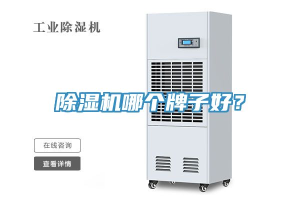 小黄片直播视频哪个牌子好？