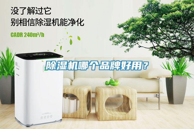 小黄片直播视频哪个品牌好用？