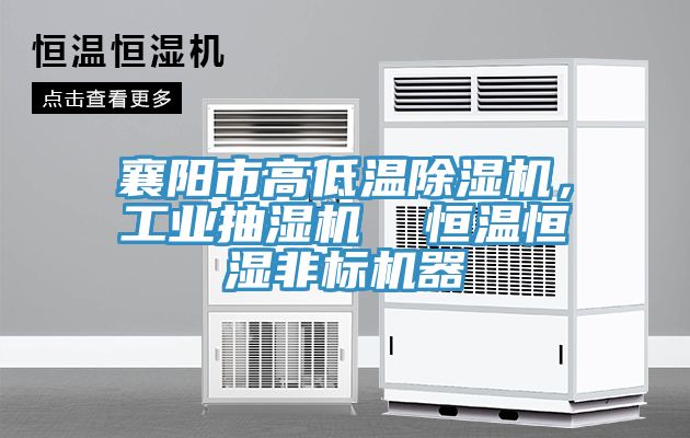 襄阳市高低温小黄片直播视频，工业抽湿机  恒温恒湿非标机器
