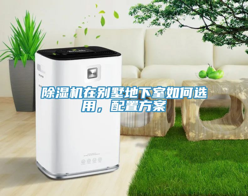 小黄片直播视频在别墅地下室如何选用，配置方案