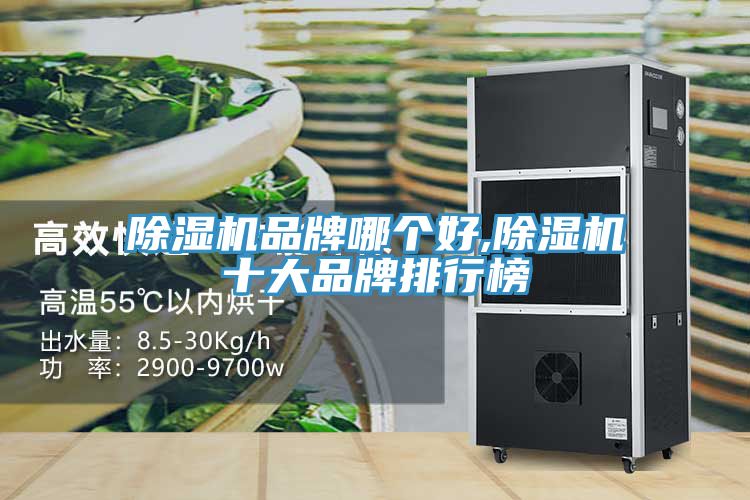 小黄片直播视频品牌哪个好,小黄片直播视频十大品牌排行榜