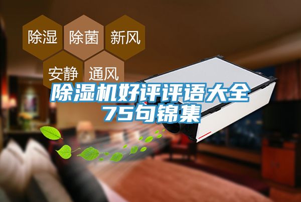 小黄片直播视频好评评语大全75句锦集