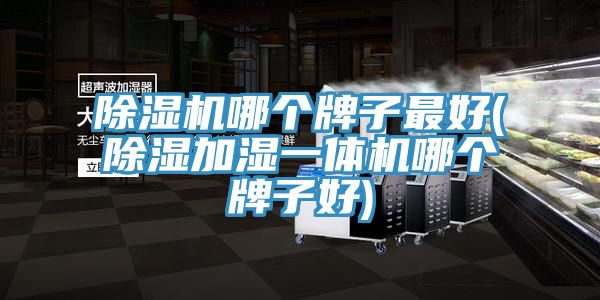 小黄片直播视频哪个牌子最好(除湿加湿一体机哪个牌子好)