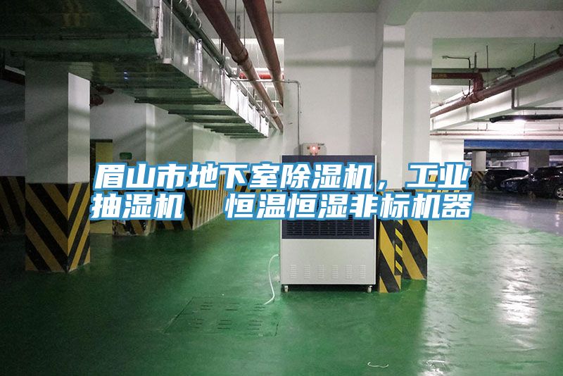 眉山市地下室小黄片直播视频，工业抽湿机  恒温恒湿非标机器