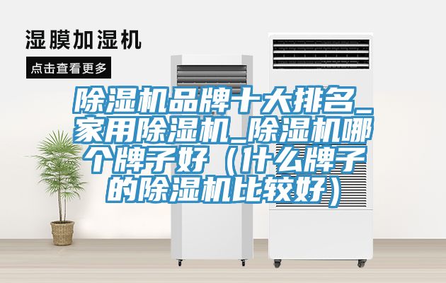 小黄片直播视频品牌十大排名_家用小黄片直播视频_小黄片直播视频哪个牌子好（什么牌子的小黄片直播视频比较好）
