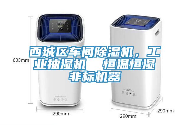 西城区车间小黄片直播视频，工业抽湿机  恒温恒湿非标机器