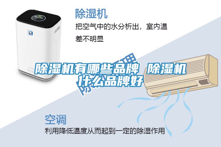 小黄片直播视频有哪些品牌 小黄片直播视频什么品牌好
