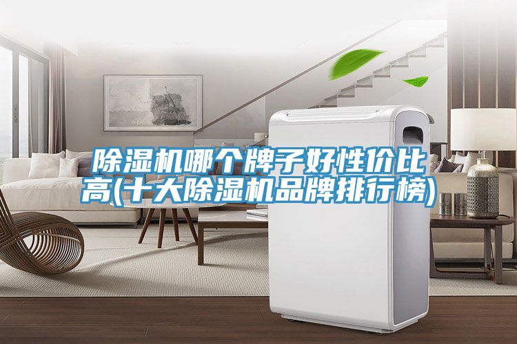 小黄片直播视频哪个牌子好性价比高(十大小黄片直播视频品牌排行榜)